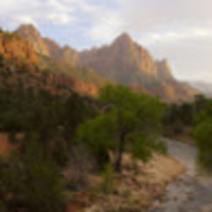 Meet your Posher, Tish